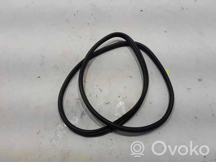 BMW 3 F30 F35 F31 Priekinė sandarinimo guma ant kėbulo 7258329