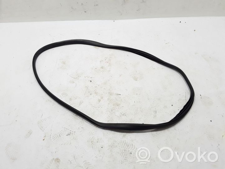 Renault Megane III Joint d'étanchéité en caoutchouc pour porte arrière 769240015R