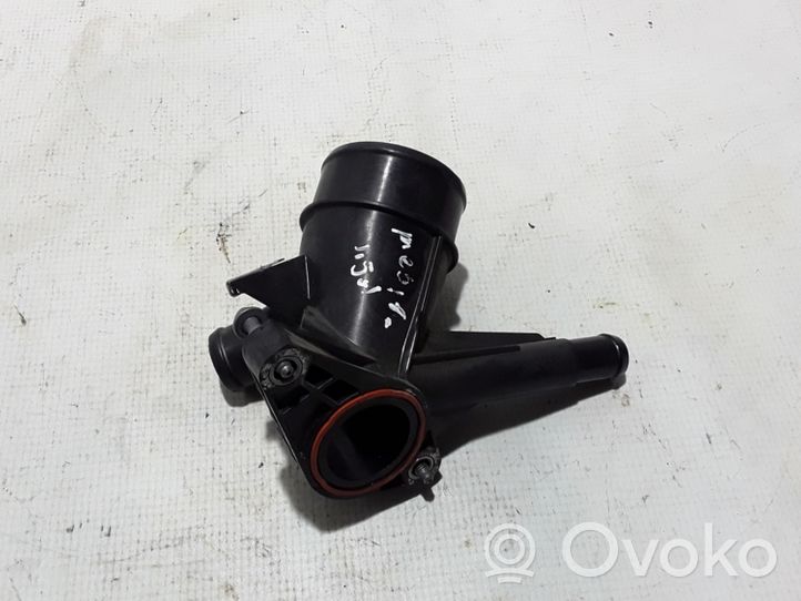 Renault Megane IV Termostato/alloggiamento del termostato 165763616R