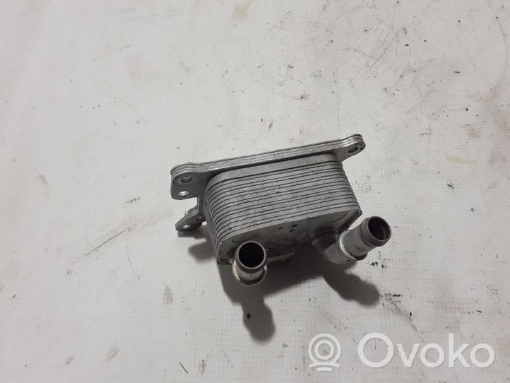 Dacia Sandero III Oil filter mounting bracket 213055917R