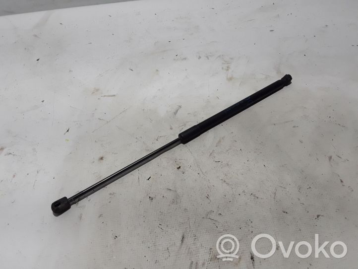 Ford Fiesta Jambe de force de hayon H1BBA406A10AE