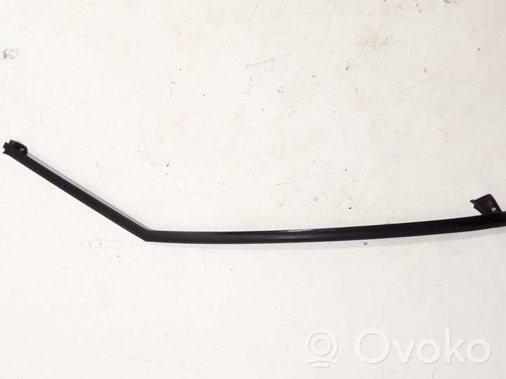 Land Rover Evoque I Moulure de vitre de la porte avant LR048549