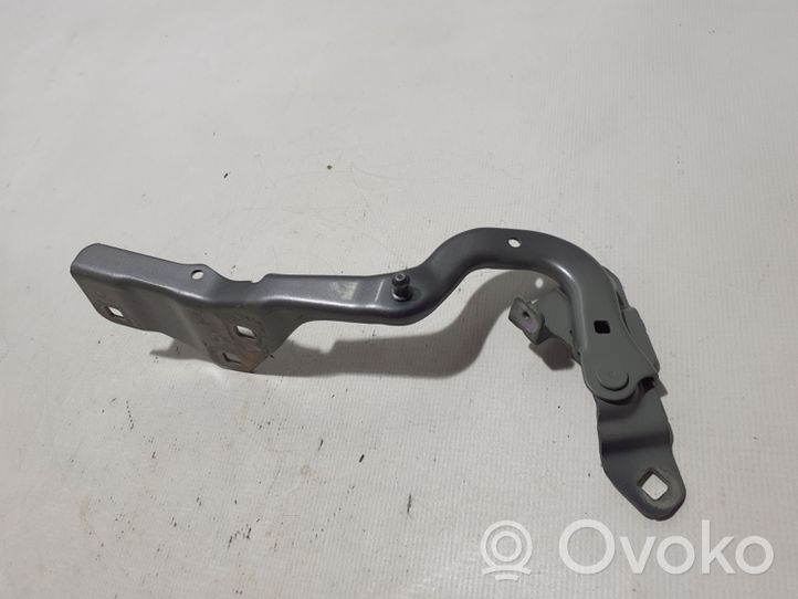 Renault Scenic IV - Grand scenic IV Charnière, capot moteur 654003758R