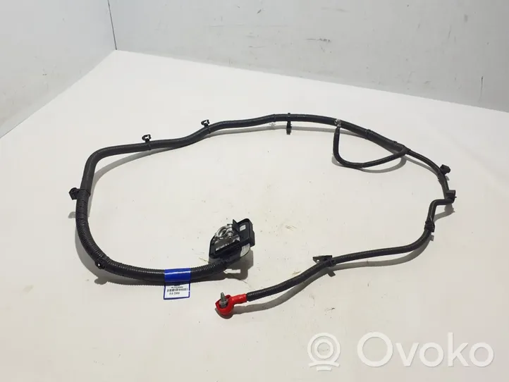 Dacia Spring Cavo positivo (batteria) 296953947R