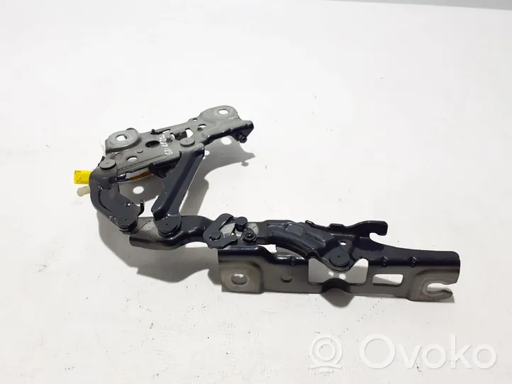 BMW 5 G30 G31 Engine bonnet/hood hinges 7347407