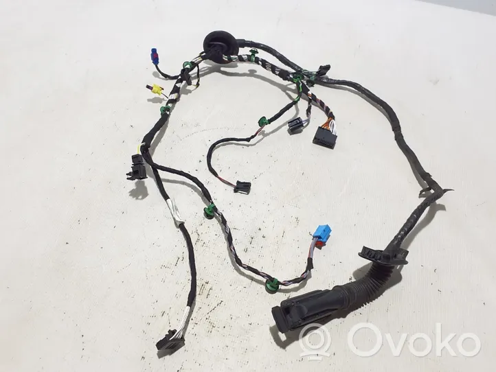 Volkswagen PASSAT B8 Other wiring loom 3G1971120BK