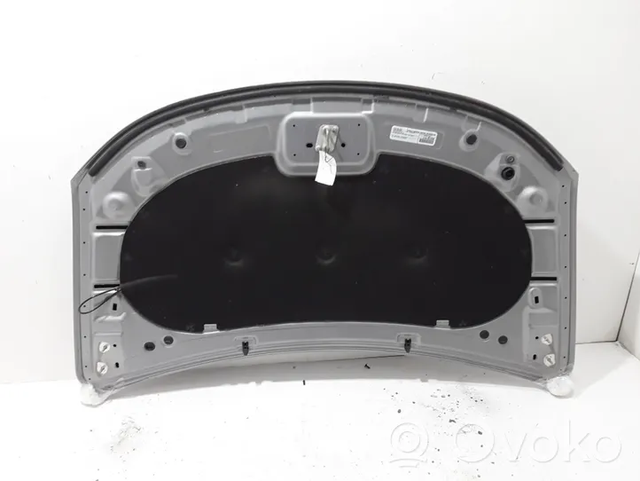 Chrysler Pacifica Vano motore/cofano 68185639AB