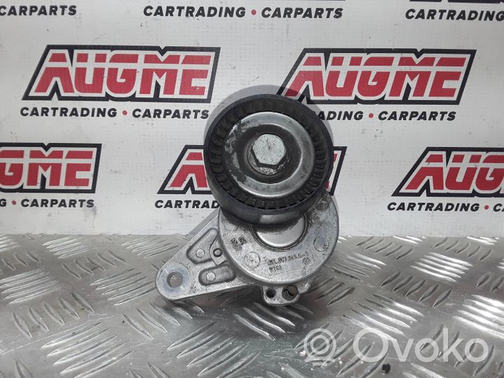 Audi A3 S3 8V Tendicinghia generatore/alternatore 04L903315A