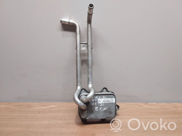 Volkswagen Golf VI Radiatore dell’olio del motore 03C117021J