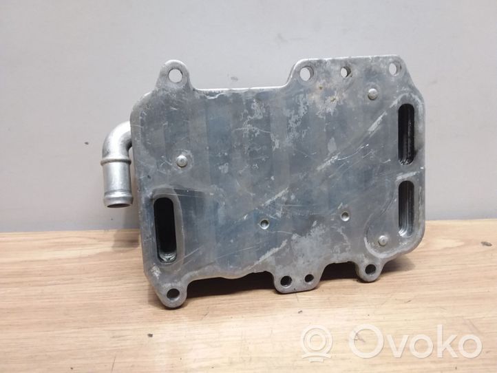 Audi A6 S6 C6 4F Radiador del aceite del motor 6789630AL