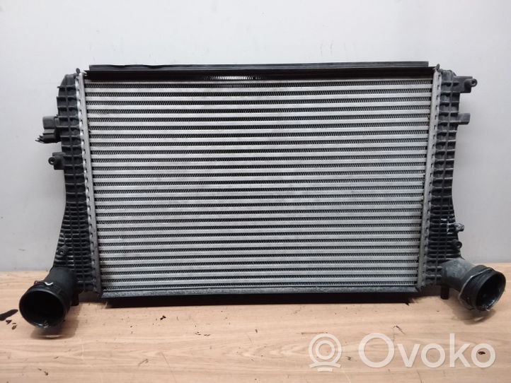 Volkswagen Jetta V Radiatore intercooler 