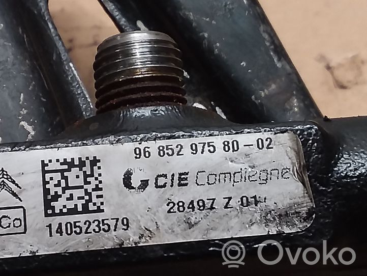 Citroen Berlingo Regulator ciśnienia paliwa 9685297580