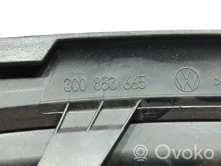 Volkswagen PASSAT B6 Griglia anteriore 