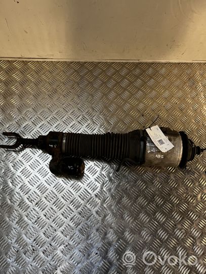 Volkswagen Phaeton Front air suspension shock absorber 3D0616039T