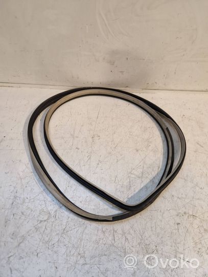 Hyundai Santa Fe Rear door rubber seal (on body) 