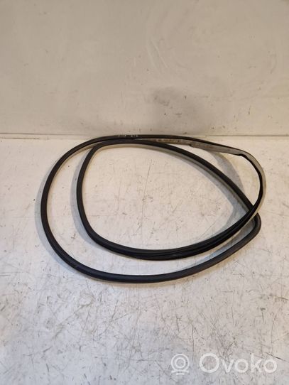 Hyundai Santa Fe Front door rubber seal 