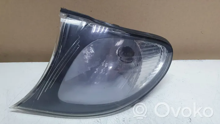 BMW 3 E46 Front indicator light 6914199