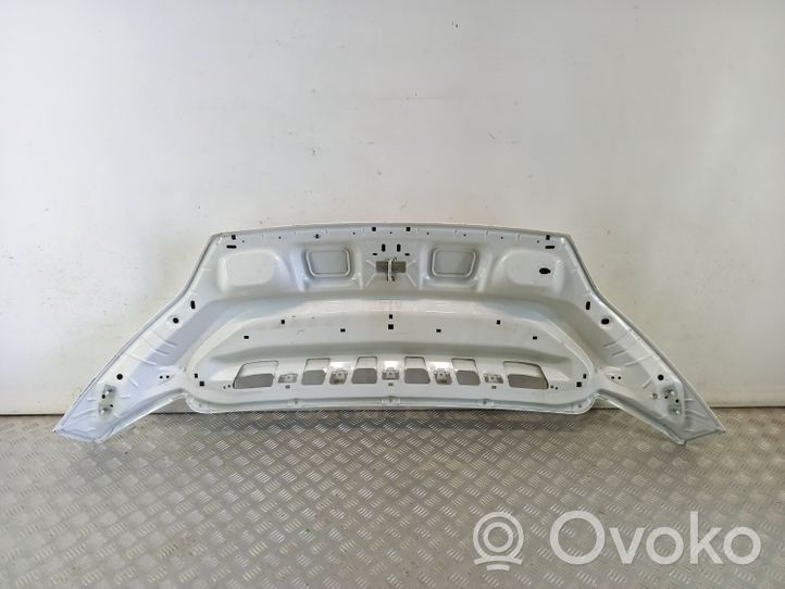 Citroen Jumper Vano motore/cofano 1612246980