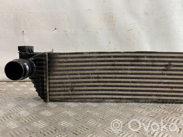 Renault Master III Chłodnica powietrza doładowującego / Intercooler 144960015R