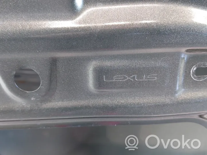 Lexus RX 330 - 350 - 400H Porte arrière 6700348190