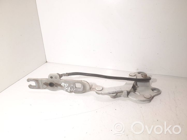 BMW 1 E82 E88 Engine bonnet/hood hinges 7060559