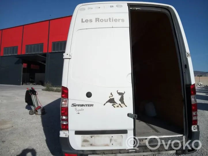 Mercedes-Benz Sprinter W906 Portellone posteriore/bagagliaio 