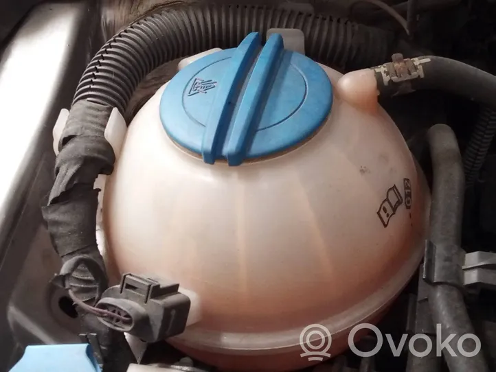 Volkswagen Passat Alltrack Serbatoio di compensazione del liquido refrigerante/vaschetta 