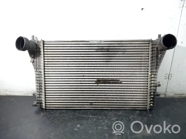 Seat Toledo III (5P) Chłodnica powietrza doładowującego / Intercooler 