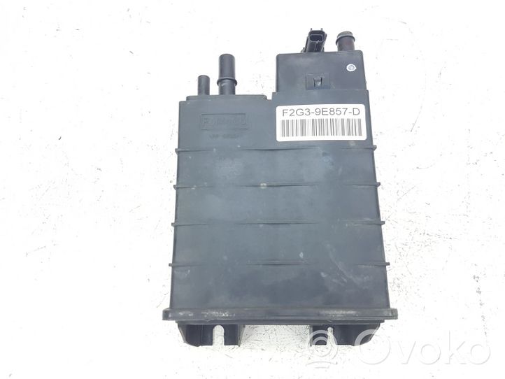 Ford Edge II Serbatoio a carbone attivo per il recupero vapori carburante F2G39E857