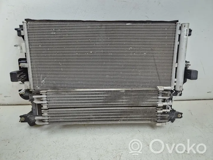 Ford Mondeo MK V Set del radiatore DG938005