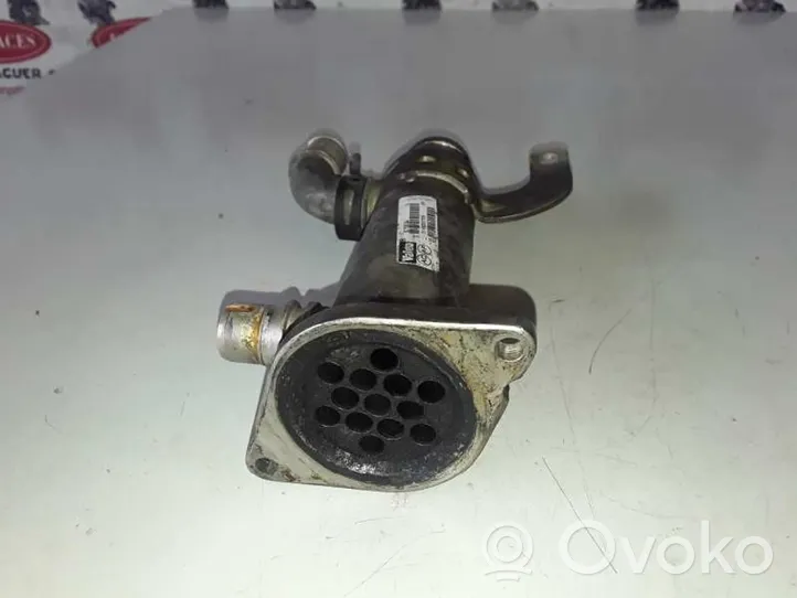 Citroen C4 Aircross EGR-venttiili/lauhdutin 9645689780