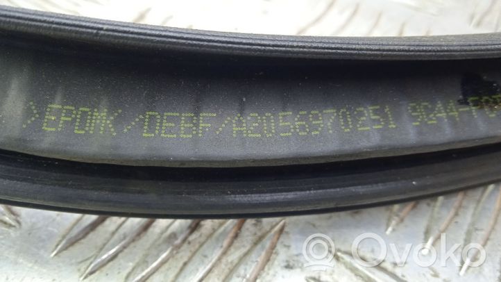 Mercedes-Benz C AMG W205 Rear door rubber seal (on body) A2056970251