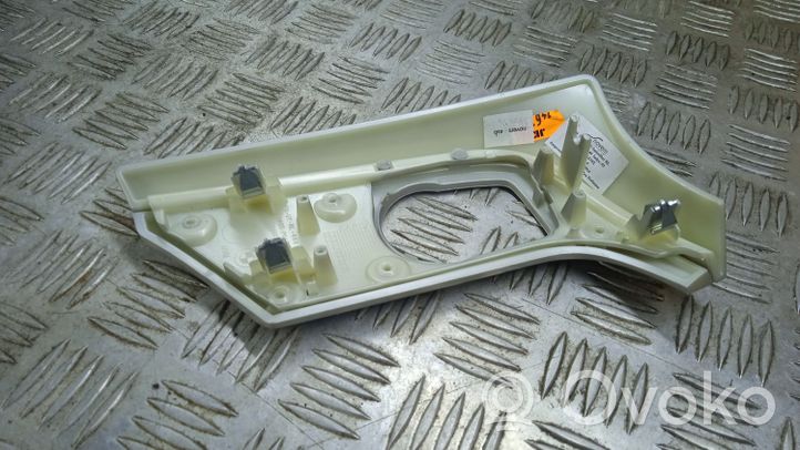 BMW Z4 E89 Panelės apdaila 4621500