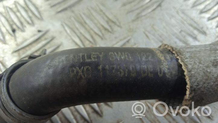 Bentley Continental Engine coolant pipe/hose 3W0122444G