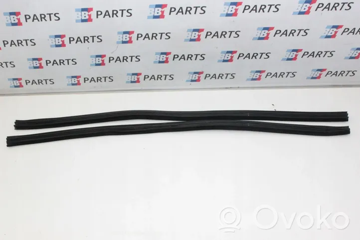 BMW 4 F32 F33 Front door rubber seal 7279747