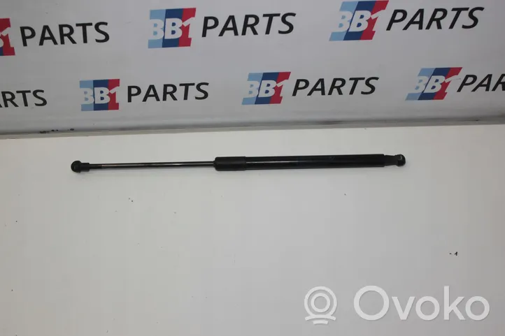 BMW 1 F20 F21 Puntone del portellone posteriore 7239871