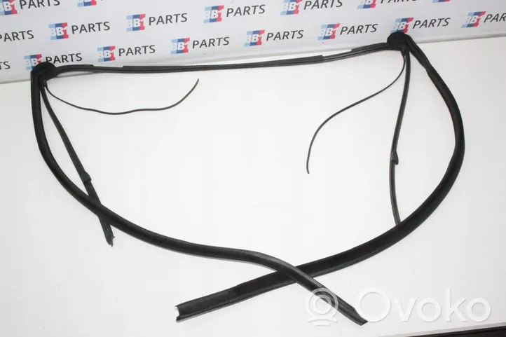 BMW 4 F32 F33 Guarnizione in gomma finestrino/vetro portiera anteriore 7279741