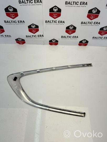 BMW 5 GT F07 Altro elemento di rivestimento della portiera posteriore 7196417