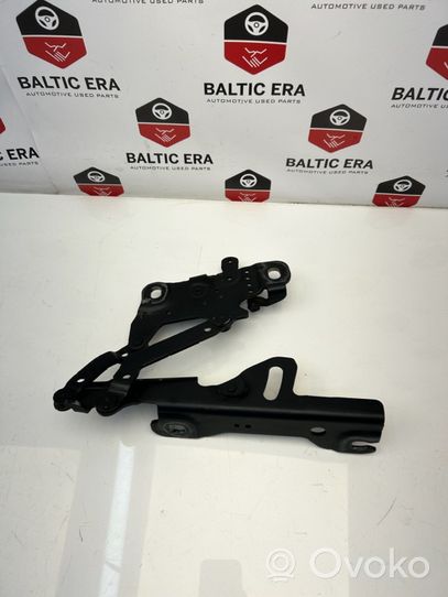 BMW 4 F32 F33 Cerniere del vano motore/cofano 7336699