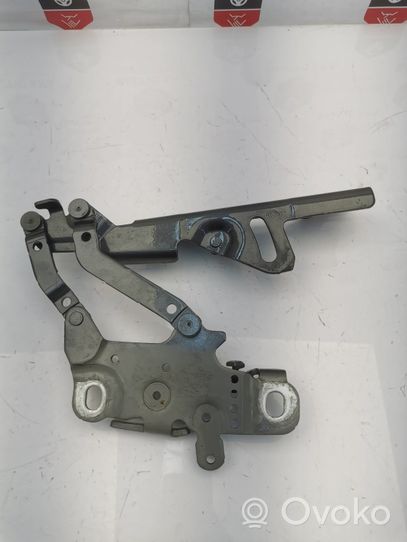 BMW 4 F32 F33 Cerniere del vano motore/cofano 7336700