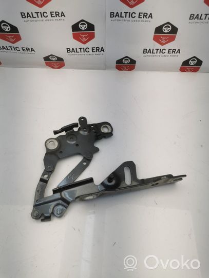 BMW 4 F32 F33 Cerniere del vano motore/cofano 7336700