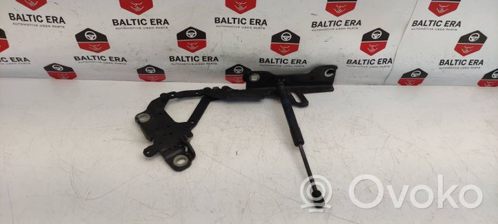 BMW 4 F32 F33 Cerniere del vano motore/cofano 13989610