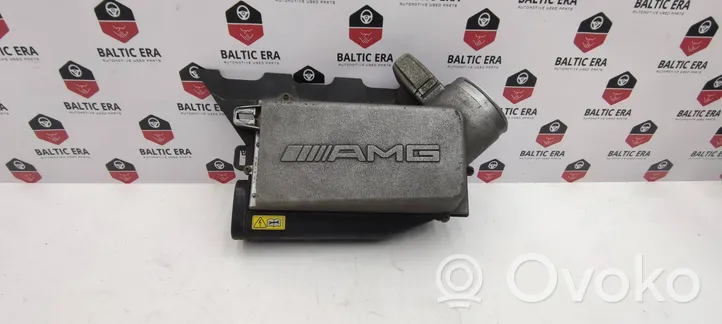 Mercedes-Benz C W204 Caja del filtro de aire A1660900301