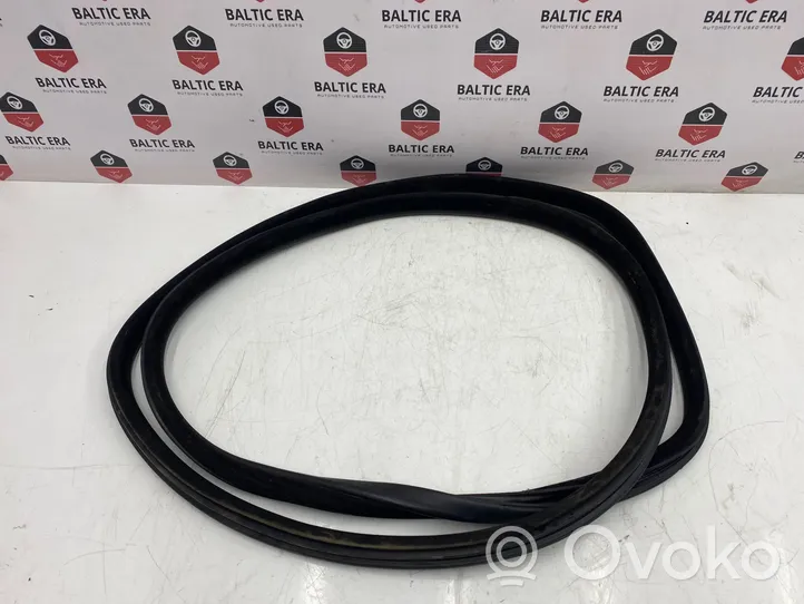 BMW 5 F10 F11 Rear door rubber seal (on body) 7199775