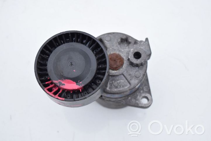 Mercedes-Benz E W210 Tendicinghia generatore/alternatore 