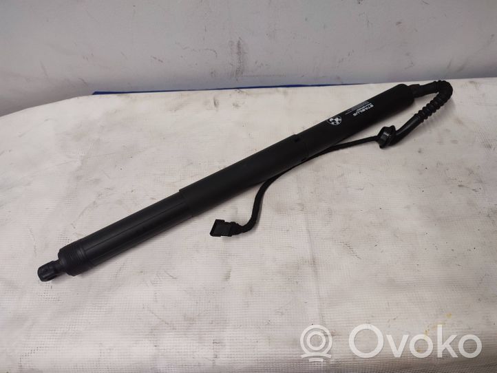 BMW X5 F15 Puntone del portellone posteriore 7294469