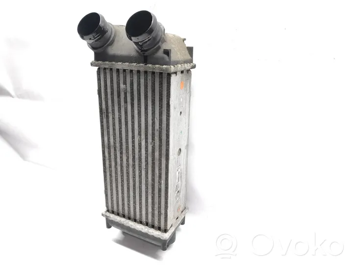 Peugeot 307 Radiatore intercooler 