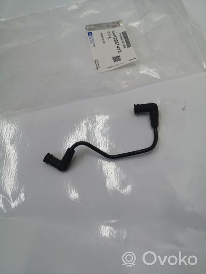 Chevrolet Camaro Vacuum line/pipe/hose 12651413