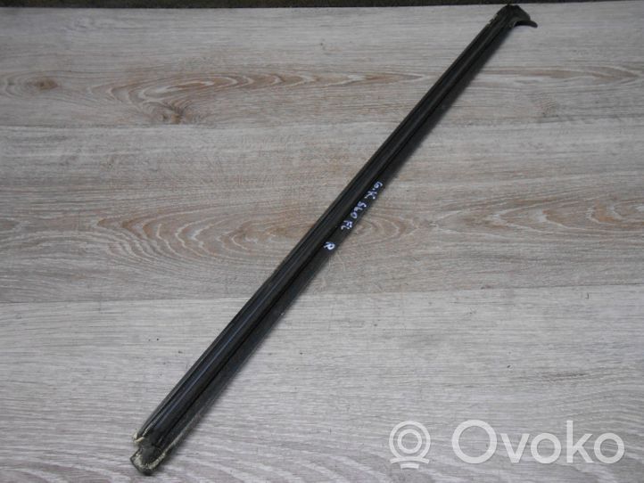 Volvo S60 Rear door glass trim molding 