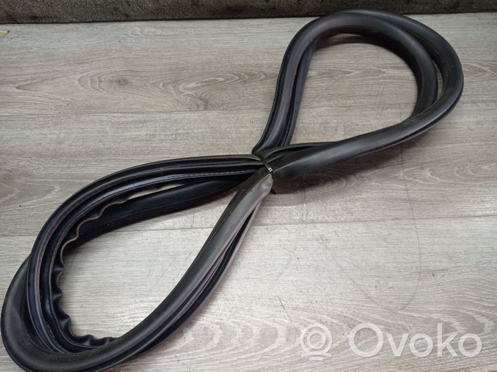 Volvo V70 Front door rubber seal 